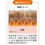 暖かさのヒミツ