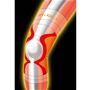 医学博士のテーピングライン<br>ひざ頭の上下左右を安定。ひざ周りの筋肉の動きをサボートし、曲げ伸ばしを楽に。