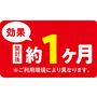 ※ご利用環境により異なります。