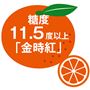 糖度11.5度以上 「金時紅」