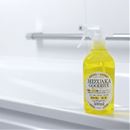 乳酸クリーナー水あかグッバイ５００ｍＬ