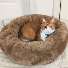 ふわふわベッド ペット用