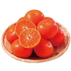 小原紅早生みかん(金時紅) 3kg