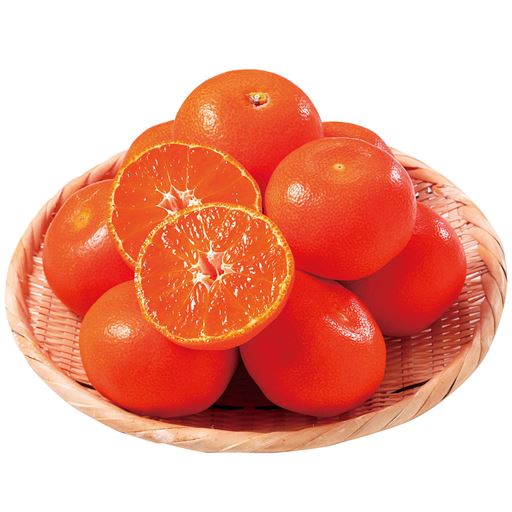 小原紅早生みかん(金時紅) 3kg