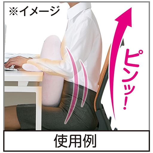 すき間を埋めて背筋をピンッ!