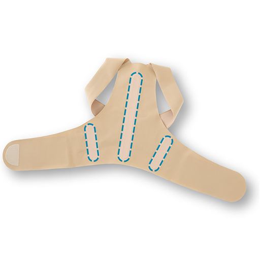 センターのロングボーンとサイドボーンが体の動きにフィットします