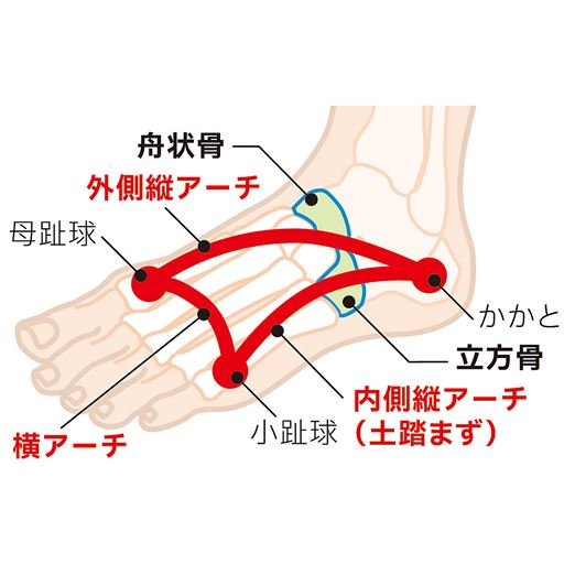 親指に舟状骨が、小指に立方骨が対応。舟状骨と立方骨を持ち上げアーチをしっかり作ることで親指と小指が自然に開き、正しい位置にキープ。 ※使用感には個人差があります。