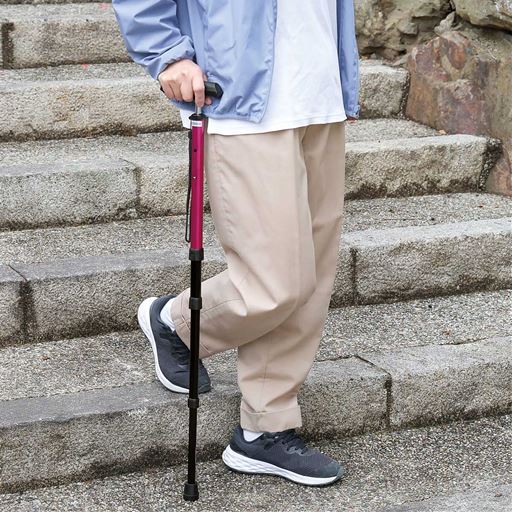 レッド 階段や斜面などで歩行をサポート!