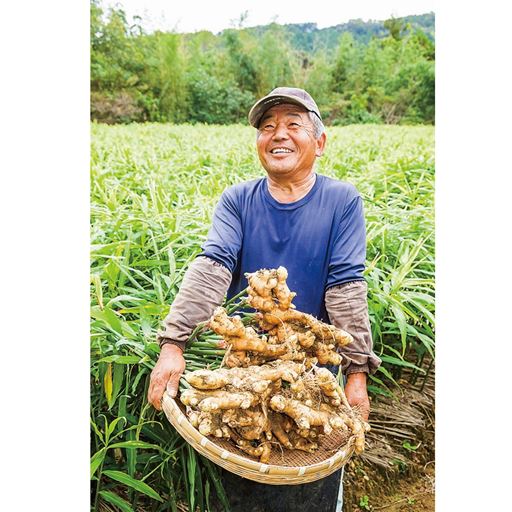 生姜生産量日本一の高知県の生姜を使用。 生姜生産者の一人 小田原信夫さん