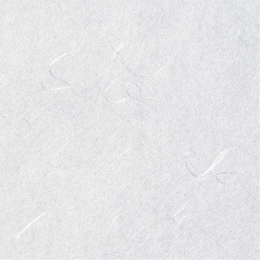 B(雲竜) 生地アップ