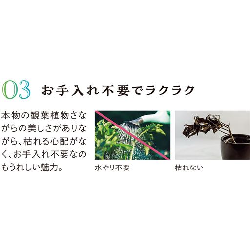 お手入れ不要でラクラク