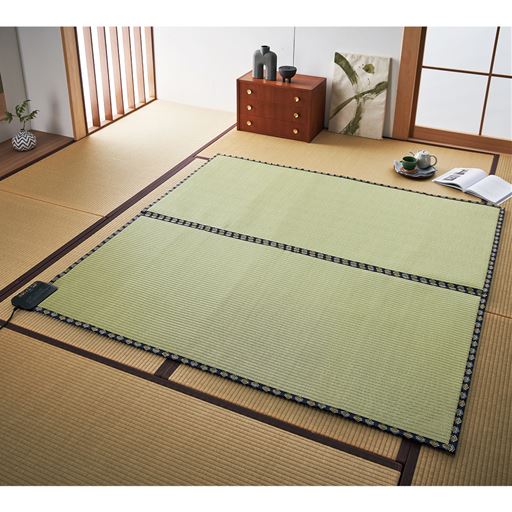 電気であったかい草調の電気カーペット