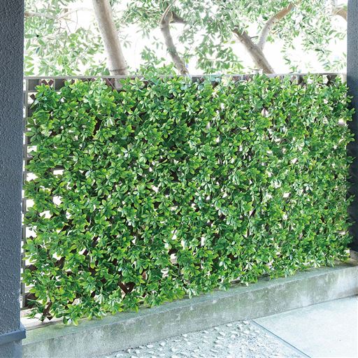 伸ばして縮めてベランダをデコレーション 目隠しにもぴったり 付属の結束バンドで取り付け