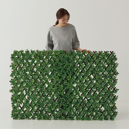 好きな形に変えられる! ラティスサイズにも