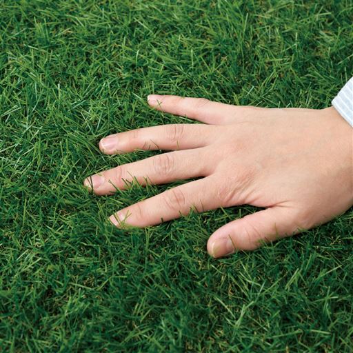 長めの毛足35mmでふかふか!