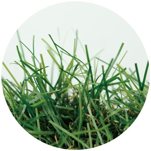 長めの毛足35mmでふかふか!