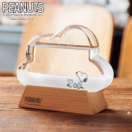 その日の天気や気温によって中の様子が変わるストームグラスです。