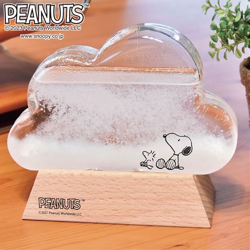 ガラスの中で結晶が姿を変える!