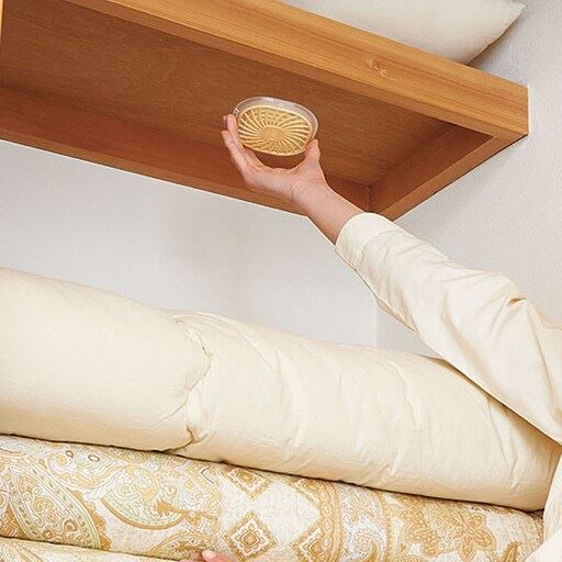 【押し入れ用】押入れの天井に貼るだけ!バイオの働きでイヤなカビ・臭いが減少!