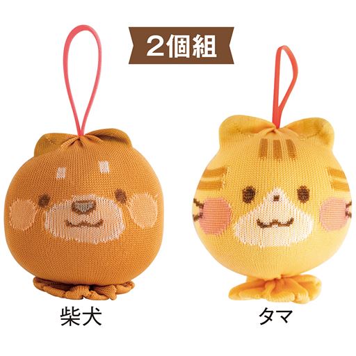 柴犬とタマの2個組