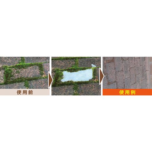※イメージ※強く付着したコケはブラシでこすってください。