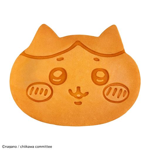 普段のハチワレ