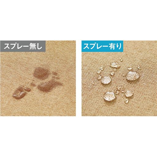 スプレー無し スプレー有り