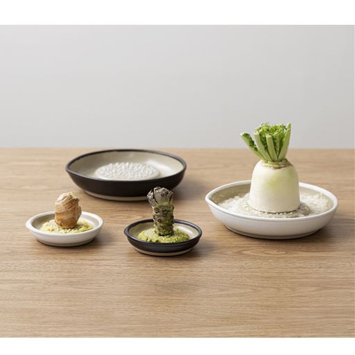 見た目がおしゃれなのでそのまま食卓へ。すりおろしながら食事を楽しめます。