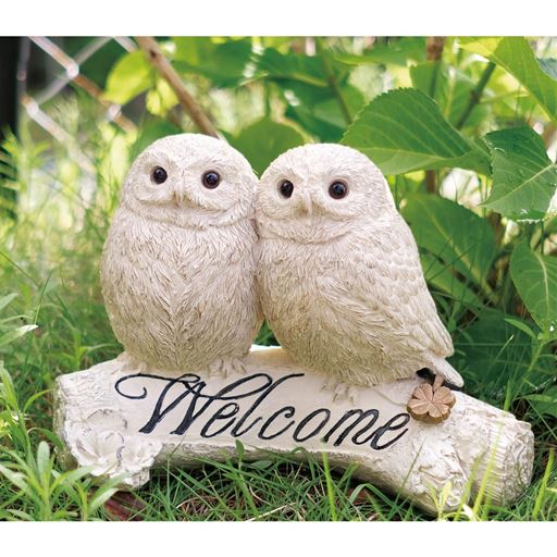 真っ白の羽毛で包まれた丸いフォルムと、つぶらな瞳の愛くるしい表情に癒されます。