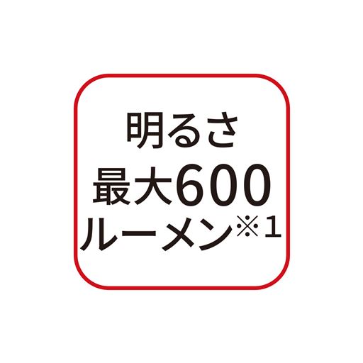 明るさ最大600ルーメン※1 ※1. リチウムイオン電池使用時、ハイモード時