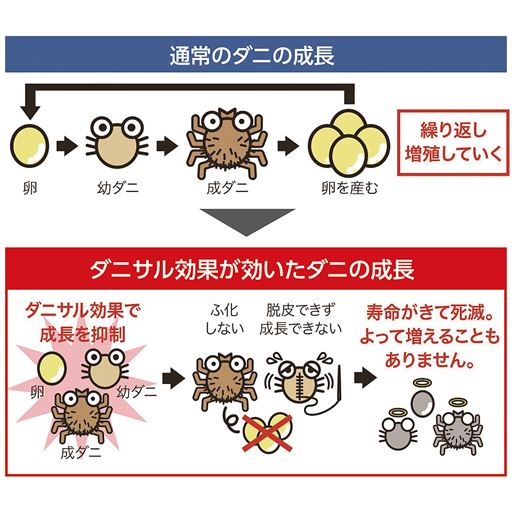 上:通常のダニの成長、下:ダニサル効果が効いたダニの成長