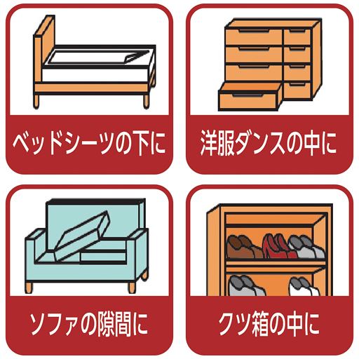 ベッドシーツの下に、洋服ダンスの中に、ソファの隙間に、クツ箱の中に