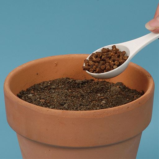 原料の「ニーム」は虫対策ができる肥料です。 野菜はもちろん花木にも。 計量スプーン付