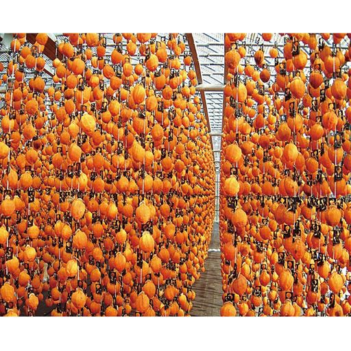 ※イメージ写真