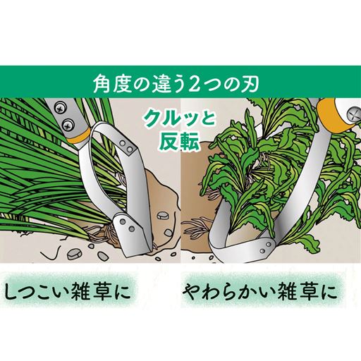 土にもぐらせて根ごとはぎ取る 土と一緒に草をはぎ取る