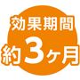 効果期間 約3ケ月