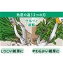 土にもぐらせて根ごとはぎ取る 土と一緒に草をはぎ取る