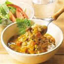 １８種国産具材のノンオイルカレー（１２袋セット）