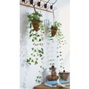 光触媒フェイクグリーン　ハンギング