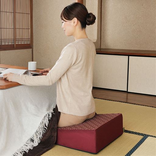 腰にやさしい床坐クッション