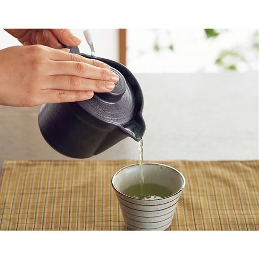 美濃焼 こだわり楽急須