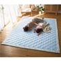 ブルー(横230×縦185cm)<br>スマートドライで家族が集まるリビングに! ひんやりキルトラグです。