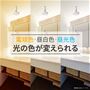 光の色が変えられる!