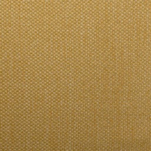 生地拡大<br>マスタード