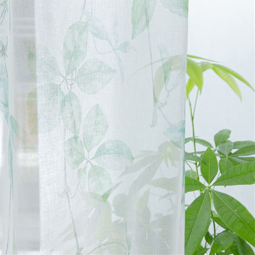 オフホワイト<br>自然な光の陰影をインテリアの一部として楽しむことができるのも魅力。