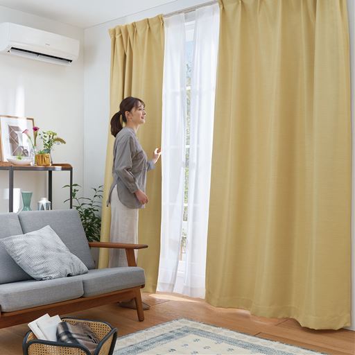 F (銀杏)<br>夏は断熱効果を高め、冬は冷気を遮り保温するので節電対策にもおすすめ。