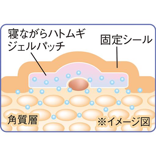 ※イメージ図