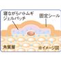 ※イメージ図