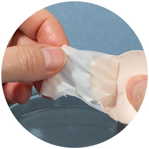 この薄い膜が卵殻膜<br><br>※イメージ