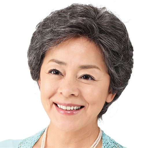 A 白毛30%入り ほんのりグレー